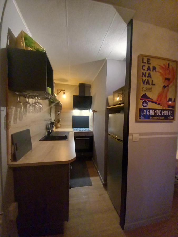 Rose Cote Mer Studio Et Garage, Entree Autonome Lejlighed La Grande-Motte Eksteriør billede